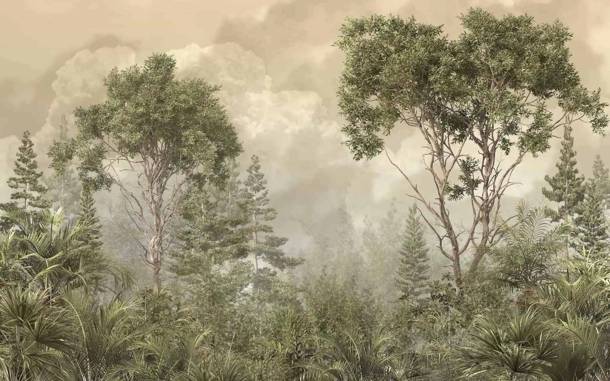 Fotobehang Mistig Boslandschap met Hoge Bomen en Zachte Wolken